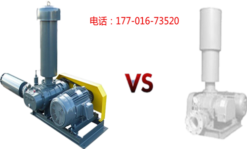 罗茨黄瓜成人APP视频.jpg