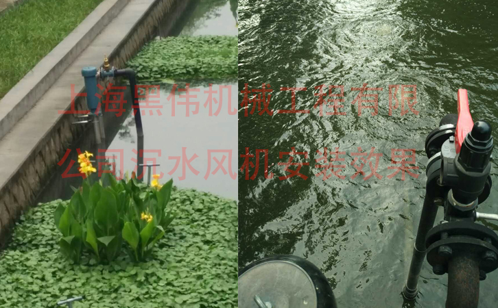 沉水黄瓜成人APP视频效果