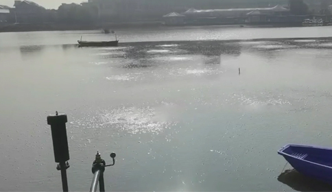黄瓜视频下载安装沉水黄瓜成人APP视频杭州萧山区某河道生态治理