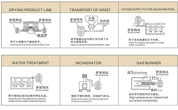罗茨黄瓜成人APP视频用途
